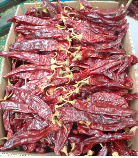 Paprika vermelho doce desidratado Chilli Extração de pigmento de cor pimenta quente