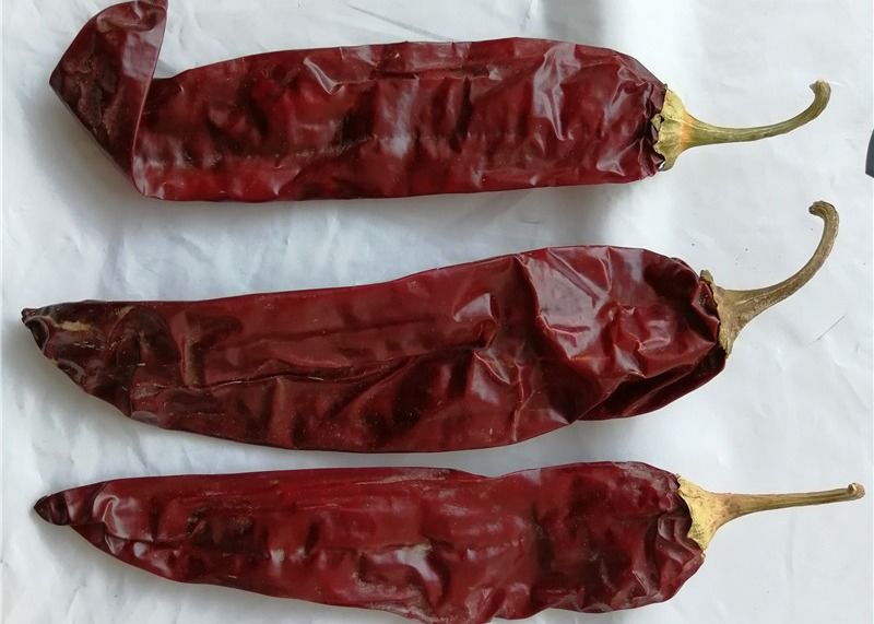 1 ano de validade Paprika doce pimenta seca Chilli vermelho Aditivo para ingrediente alimentar de alta qualidade