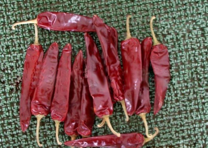 Umidade ≤14% Paprika doce Pimenta pimenta vermelha Capsicum com temperatura de armazenamento de 0 °C a -28 °C